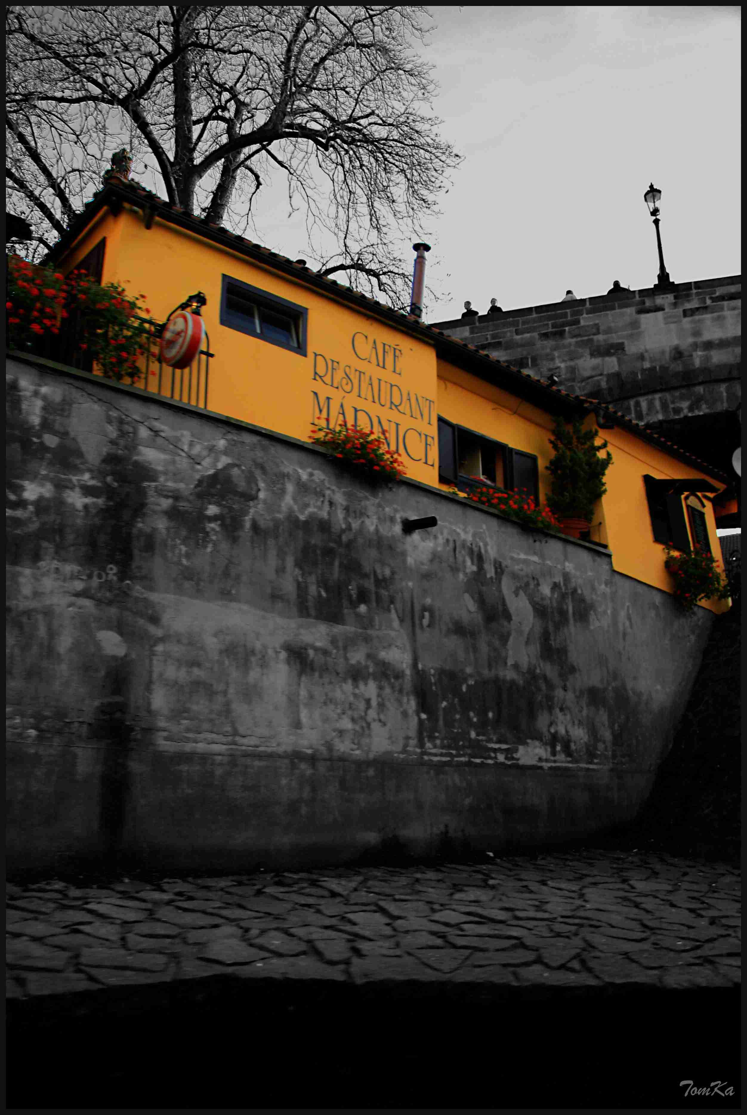 CAFE MARNICE