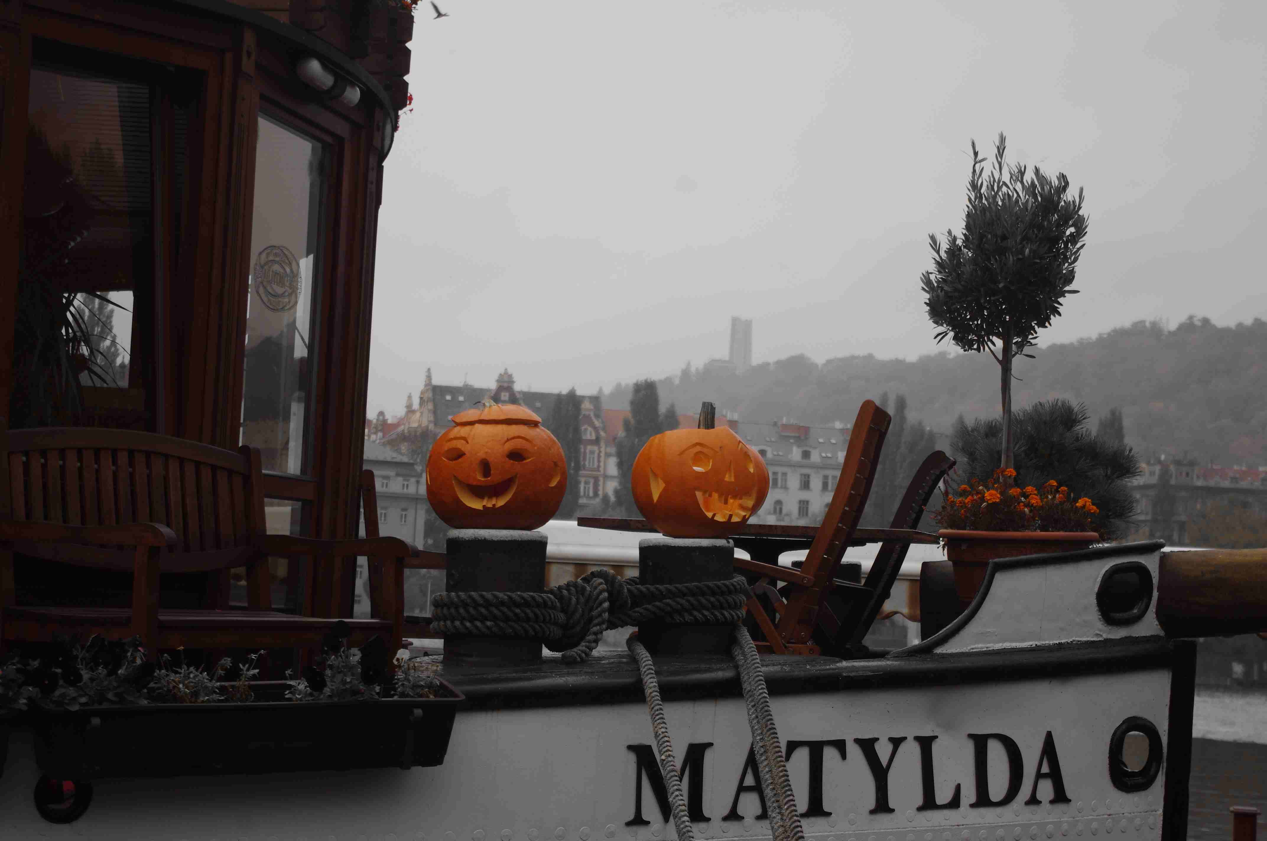 halloween Matylda